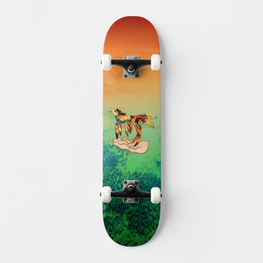 Skateboard Vol (Recto)