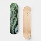 Skateboard Vol sur les fougères (Recto)