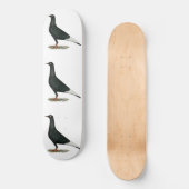 Skateboard Vol vol Pigeon noir (Recto)