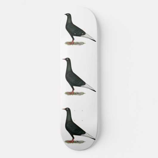 Skateboard Vol vol Pigeon noir (Recto)