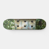 Skateboard Volière (Horz)