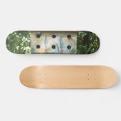 Skateboard Volière (Horz)