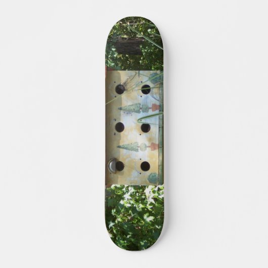 Skateboard Volière (Devant)