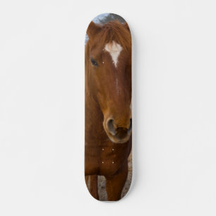 Skateboard voor paardenpootwerk