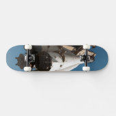 Skateboard Vostok, vaisseau russe (Horz)