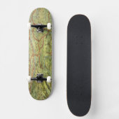 Skateboard Vue Grandes Plaines de Birdseyes (Recto)