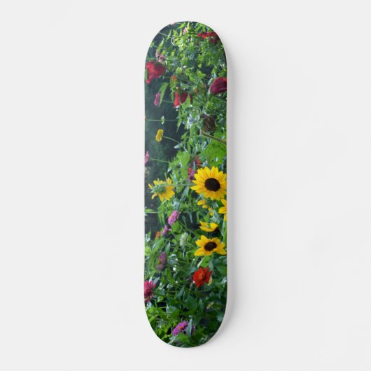 Skateboard Vue jardin, marguerites, cosmos, tournesols, maman (Recto)