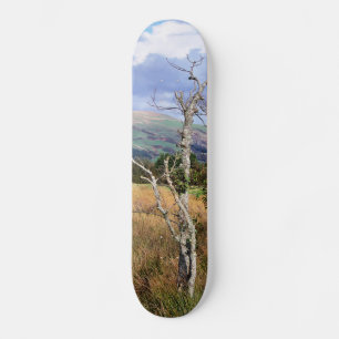 SKATEBOARD VUES DES ALLES