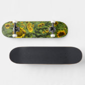 Skateboard WA, comté de Kittitas, terrain de tournesol (Horz)
