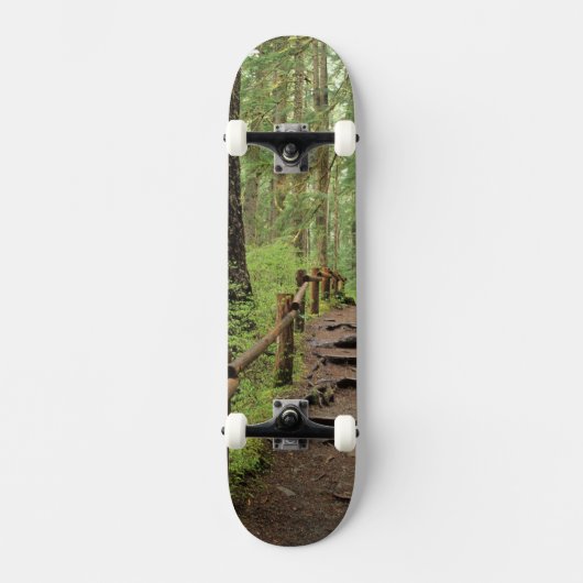 Skateboard WA, parc national olympique, vallée de Sol Duc, fo (Recto)