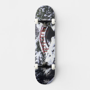 Skateboard WA, Seattle, Pont de lune et étang après l'hiver 2