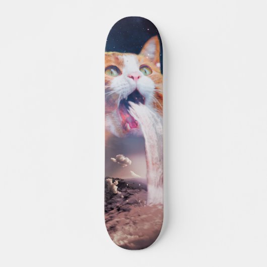 Skateboard Waterfall cat (Devant)