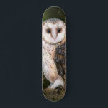 Skateboard Western Barn Owl - Migned Watercolor Painting Art<br><div class="desc">Western Barn Owl - Peinture à l'aquarelle de Migned Art Beautiful Forest Bird</div>