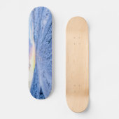 Skateboard wind blown first tracks (Recto)