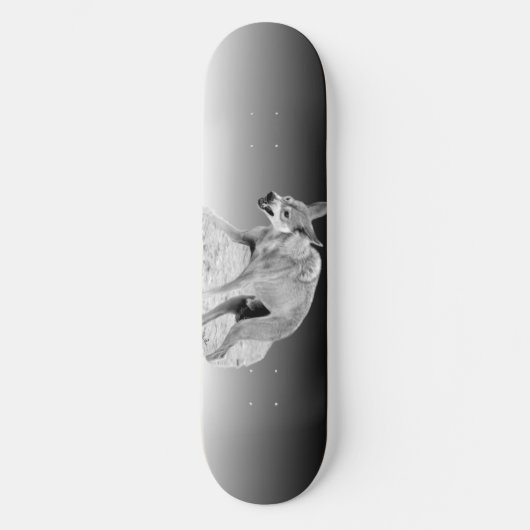 Skateboard Wolf Snarl (Recto)