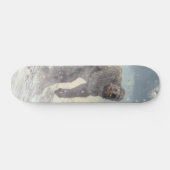 Skateboard Yeti (Horz)