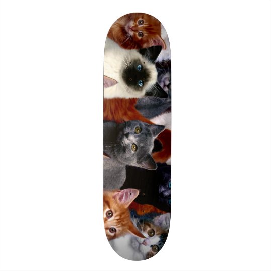 Skateboards Panneau fait sur commande urbain de parc de chats