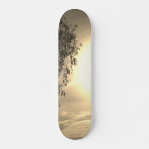 skateboardstijl en ontwerp skateboard