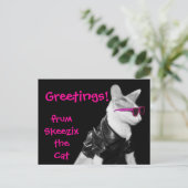 Skeezix la carte postale de chat (Debout devant)
