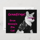Skeezix la carte postale de chat (Devant / Derrière)