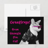 Skeezix the Cat Postcard Briefkaart (Voorkant / Achterkant)