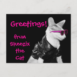Skeezix the Cat Postcard Briefkaart