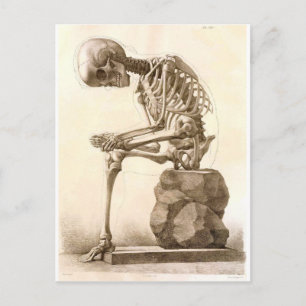 skelet briefkaart