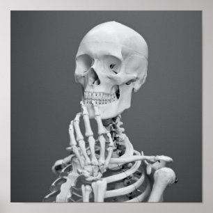 Skelet Huid Halloween Black en White Grey Poster