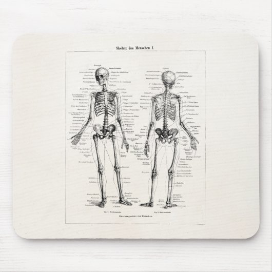  Skelet Humaan Anatomie Bot Botten Muismat (Voorkant)