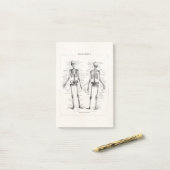 Skelet Humaan Anatomie Bot Botten Post-it® Notes (Op bureau)