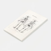 Skelet Humaan Anatomie Bot Botten Post-it® Notes (Schuin)