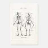 Skelet Humaan Anatomie Bot Botten Post-it® Notes (Voorkant)