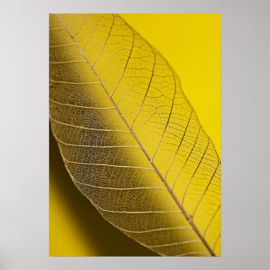 Skelet Leaf Yellow Poster (Voorkant)