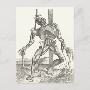 Skelet Lijk Lijk Anatomie Medisch Briefkaart