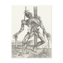 Skelet Lijk Lijk Anatomie Medisch