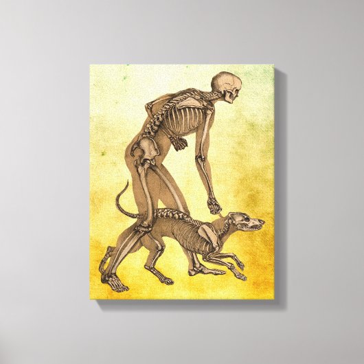 skelet man en hond menselijke anatomie kunst canvas afdruk (Voorkant)