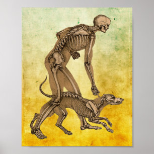 skelet man en hond menselijke anatomie kunst poster