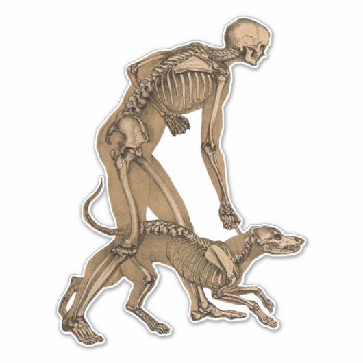 skelet man en hond menselijke anatomie kunst sticker (Voorkant)