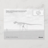 Skelet man wandelend skelet dinosaurus, SD Briefkaart (Achterkant)