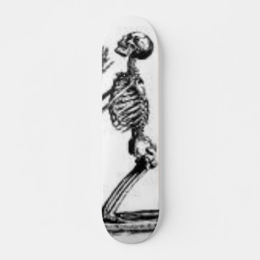skelet skateboard (Voorkant)