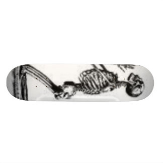skelet skateboard
