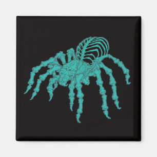 Skelet Tarantula Magneet