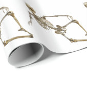 Skelet terugzetten cadeaupapier (Rol Hoek)