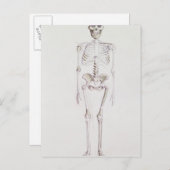 Skelet van Australopithecus africanus Briefkaart (Voorkant / Achterkant)