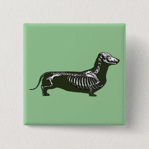 skelet van dachshund vierkante button 5,1 cm
