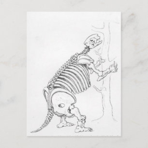 Skelet van een Mylodon Briefkaart