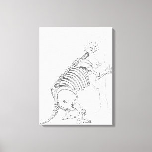 Skelet van een Mylodon Canvas Afdruk