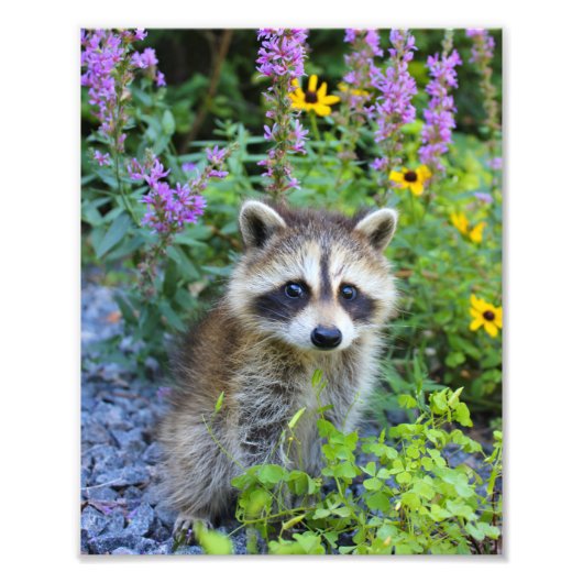 Skeletafdruk Foto Afdruk (Voorkant)