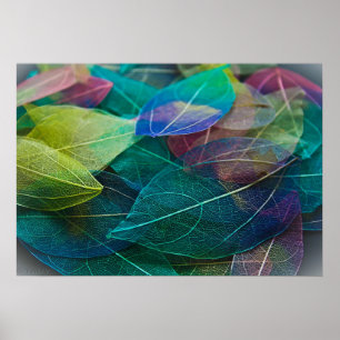 Skeletbladeren Poster