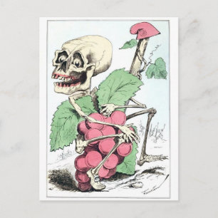 Skeletdruif briefkaart